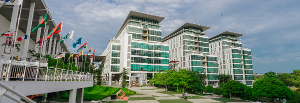 超实用！马来西亚泰莱大学留学全攻略：申请条件、学费、住宿、就业一站打包