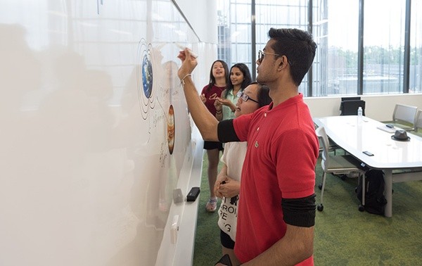 泰莱大学提供的课程盘点：热门课程与选课建议