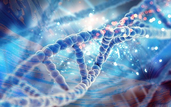 马来西亚泰莱大学留学：最新报名攻略必看